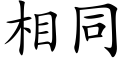 相同 (楷体矢量字库)