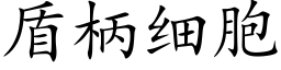 盾柄細胞 (楷體矢量字庫)