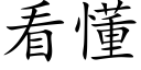 看懂 (楷体矢量字库)