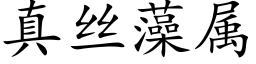 真丝藻属 (楷体矢量字库)