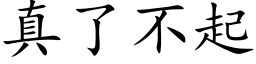 真了不起 (楷体矢量字库)