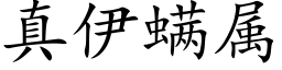 真伊螨属 (楷体矢量字库)