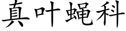 真葉蠅科 (楷體矢量字庫)