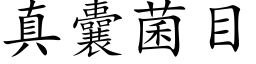 真囊菌目 (楷体矢量字库)