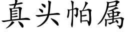 真头帕属 (楷体矢量字库)