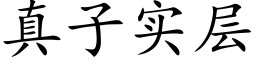 真子实层 (楷体矢量字库)