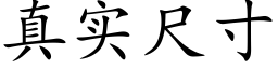 真实尺寸 (楷体矢量字库)