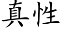 真性 (楷体矢量字库)