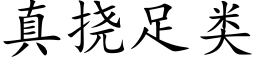 真撓足類 (楷體矢量字庫)