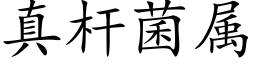 真杆菌属 (楷体矢量字库)