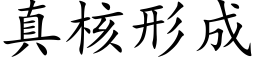 真核形成 (楷体矢量字库)