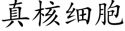 真核細胞 (楷體矢量字庫)