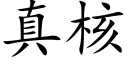 真核 (楷體矢量字庫)