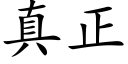 真正 (楷体矢量字库)