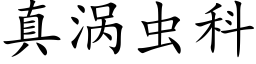 真渦蟲科 (楷體矢量字庫)