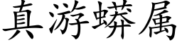 真遊蟒屬 (楷體矢量字庫)