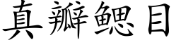 真瓣鳃目 (楷体矢量字库)