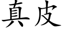 真皮 (楷體矢量字庫)