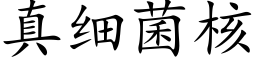 真細菌核 (楷體矢量字庫)