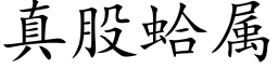 真股蛤屬 (楷體矢量字庫)