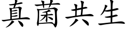 真菌共生 (楷体矢量字库)