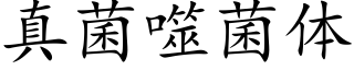 真菌噬菌体 (楷体矢量字库)