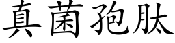 真菌孢肽 (楷體矢量字庫)