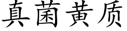 真菌黃質 (楷體矢量字庫)