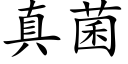 真菌 (楷體矢量字庫)