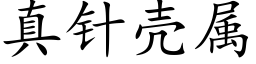 真針殼屬 (楷體矢量字庫)