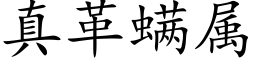 真革螨屬 (楷體矢量字庫)