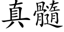 真髓 (楷體矢量字庫)