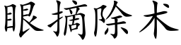 眼摘除術 (楷體矢量字庫)