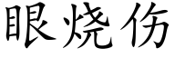 眼燒傷 (楷體矢量字庫)