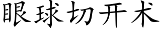 眼球切開術 (楷體矢量字庫)