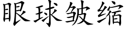 眼球皱缩 (楷体矢量字库)