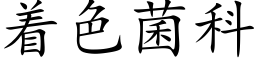 着色菌科 (楷體矢量字庫)