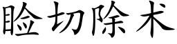 睑切除术 (楷体矢量字库)