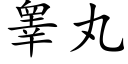 睾丸 (楷体矢量字库)