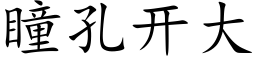 瞳孔開大 (楷體矢量字庫)