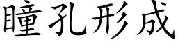 瞳孔形成 (楷體矢量字庫)