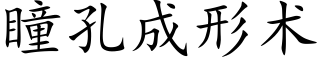 瞳孔成形術 (楷體矢量字庫)