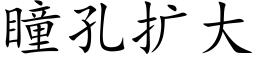 瞳孔擴大 (楷體矢量字庫)