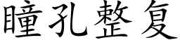 瞳孔整複 (楷體矢量字庫)