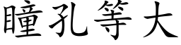 瞳孔等大 (楷體矢量字庫)