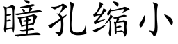 瞳孔縮小 (楷體矢量字庫)