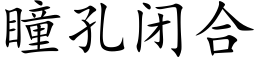 瞳孔閉合 (楷體矢量字庫)