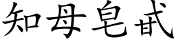 知母皂甙 (楷体矢量字库)