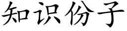 知识份子 (楷体矢量字库)