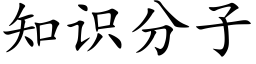 知識分子 (楷體矢量字庫)